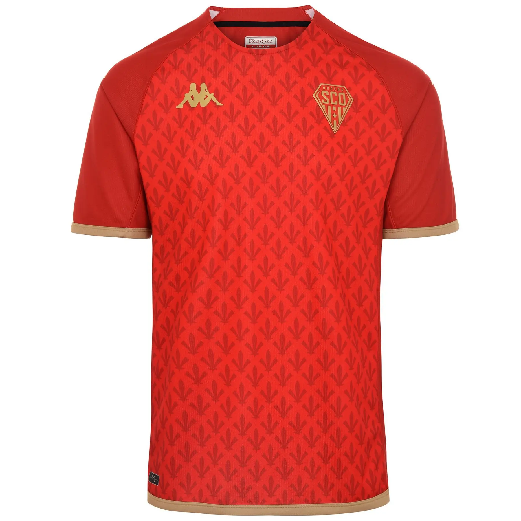 SCO Angers Third Shirt 2022/23