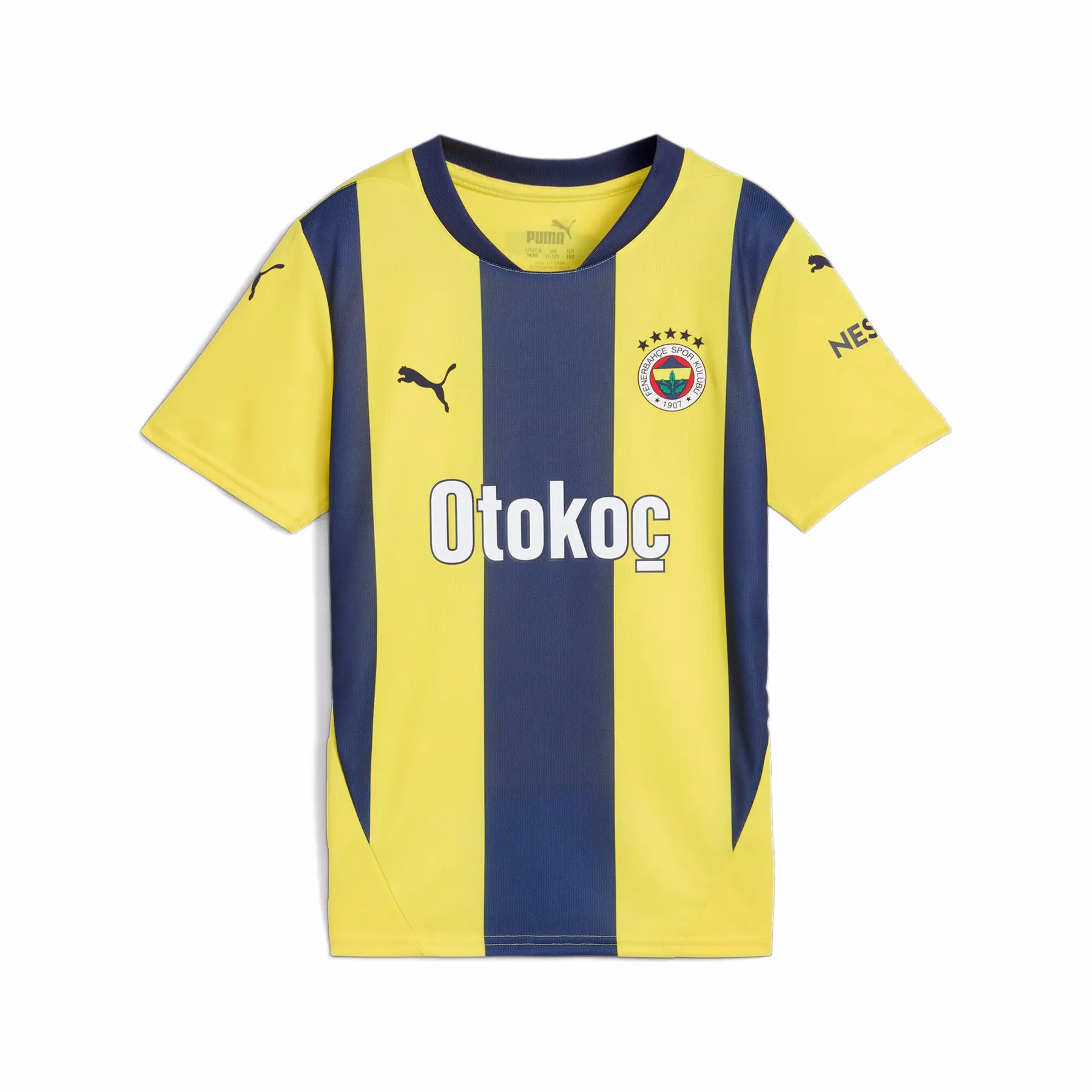 Fenerbahçe Thuisshirt 2024/25